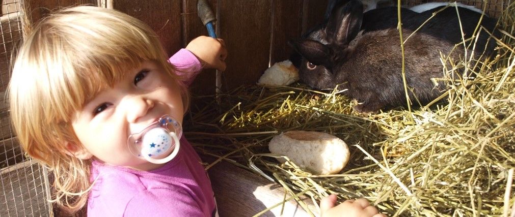 Kerschbamerhof Südtirol Kerschbamerhof Südtirol