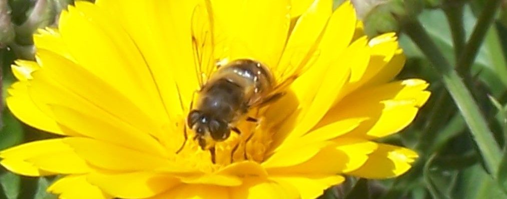 Kerschbamerhof Südtirol Kerschbamerhof Südtirol